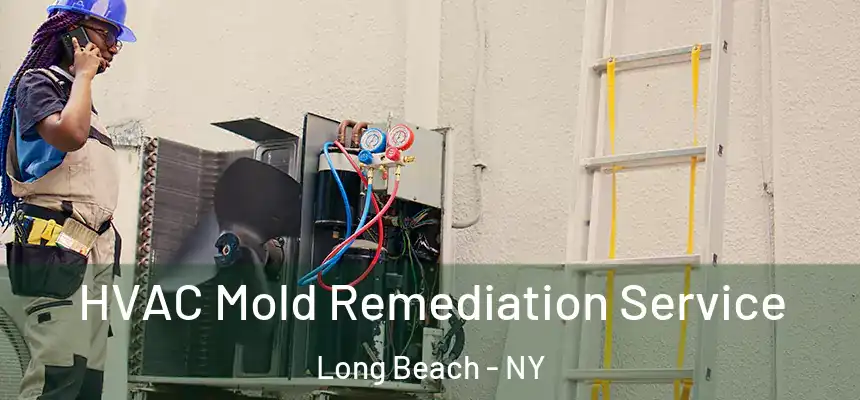 HVAC Mold Remediation Service Long Beach - NY