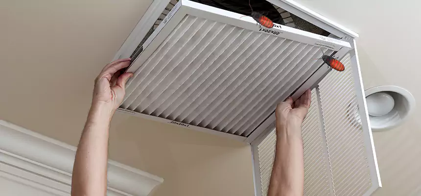 Our Insect Removal from Air Ducts Services in Long Beach, NY