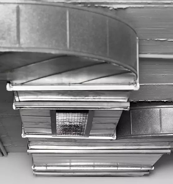 Professional Air Duct Pet Hair Removal in Long Beach, NY