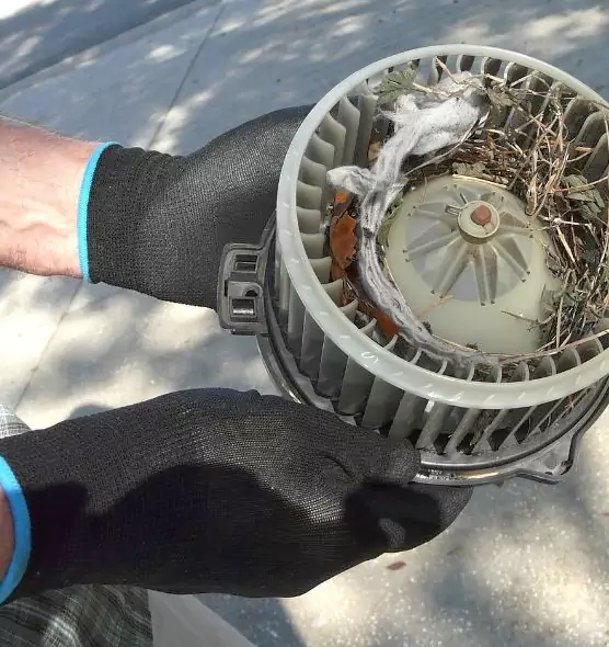 About Air Duct Rat Removal in Long Beach, NY