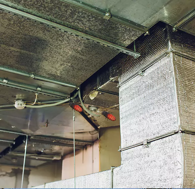 Why Homeowners & Businesses Trust Us in Long Beach, NY?