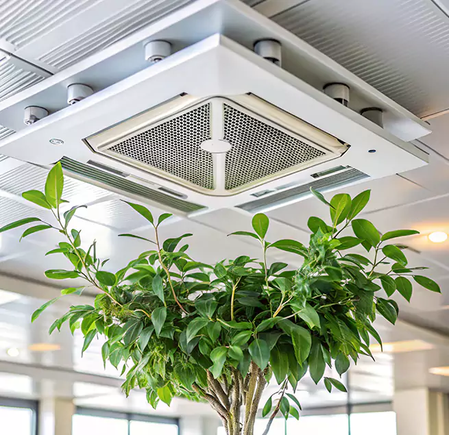 Why Homeowners & Businesses Trust Us in Long Beach, NY